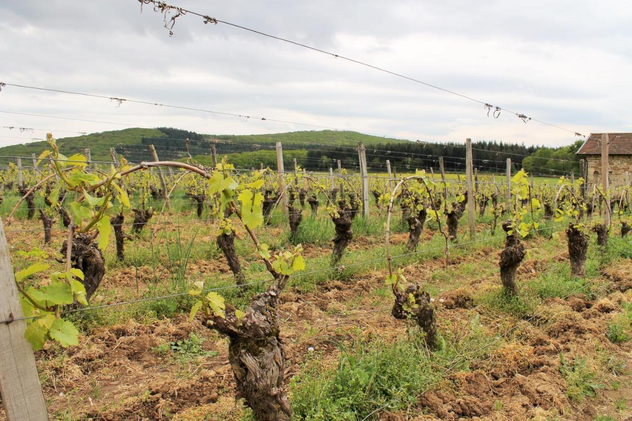 Domaine Joseph Lafarge Wine Resort Winemaker House La Maison Du Negociant Lugny Exterior foto