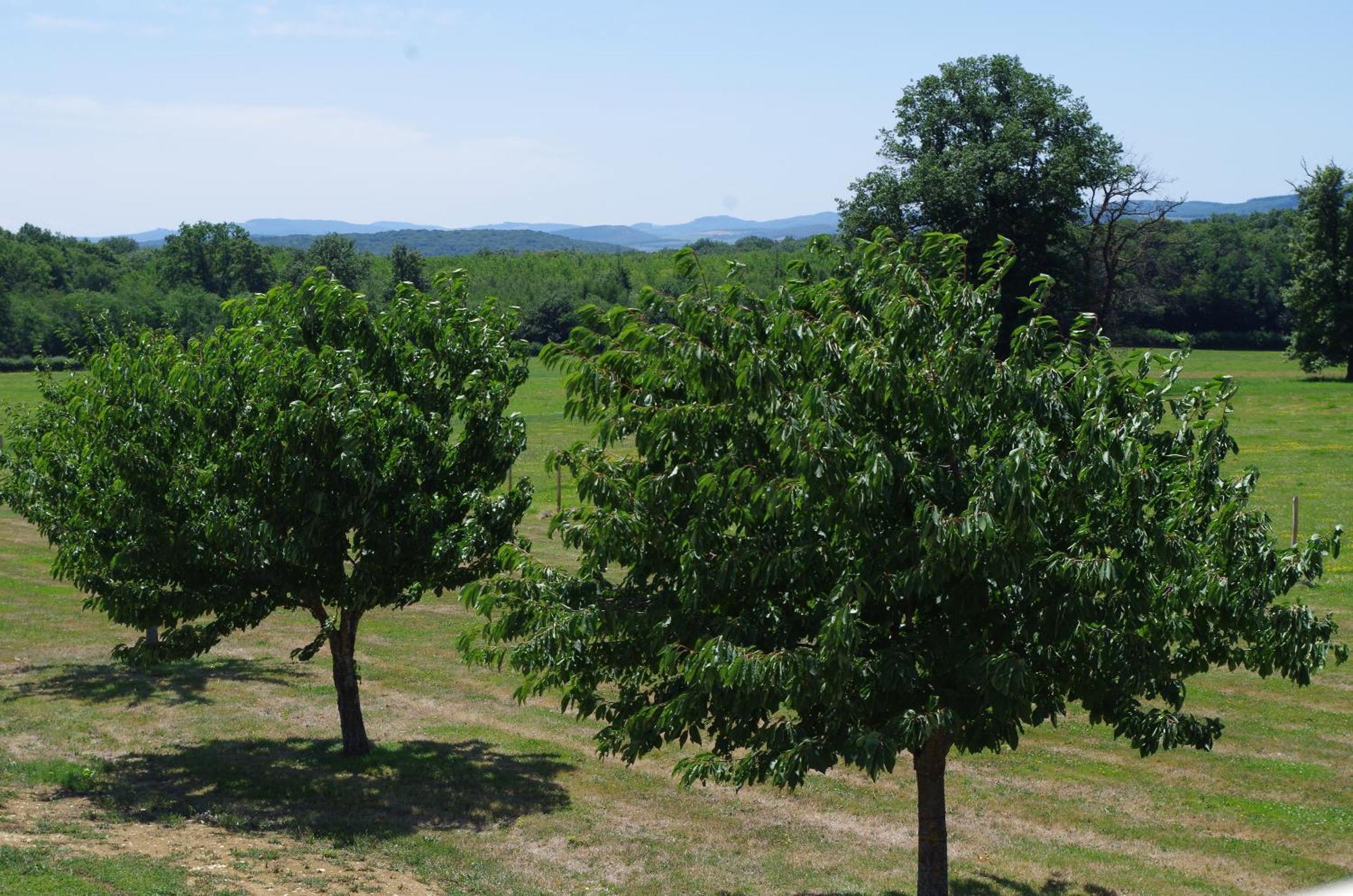 Domaine Joseph Lafarge Wine Resort Winemaker House La Maison Du Negociant Lugny Exterior foto